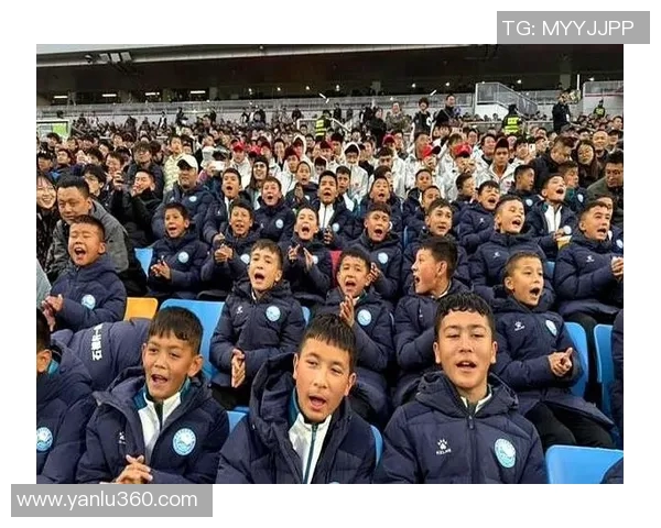 热情飞扬的足球明星与他们的热翅梦想之旅