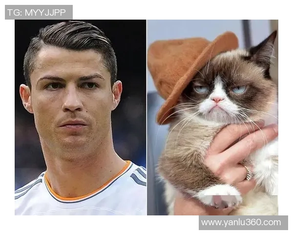 明星猫足球盛宴猫咪与球星的奇妙对决尽显魅力与激情